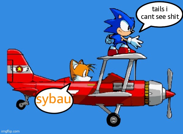 Tornado 1 | tails i cant see shit; sybau | image tagged in tornado 1 | made w/ Imgflip meme maker