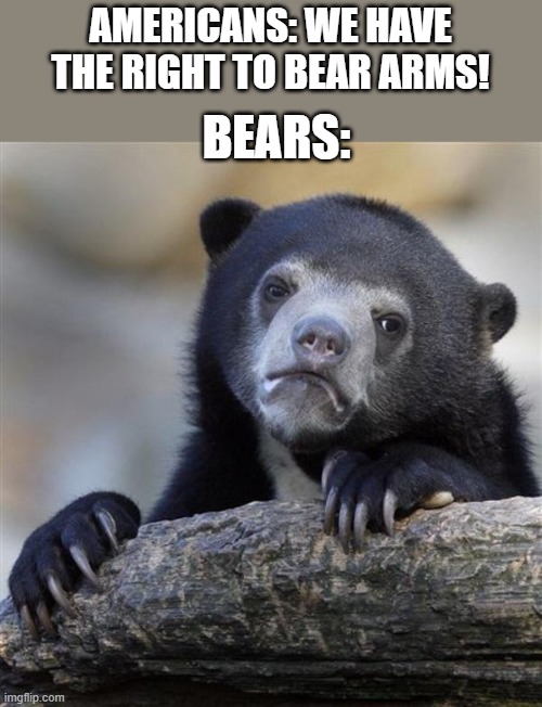 sad bear | AMERICANS: WE HAVE THE RIGHT TO BEAR ARMS! BEARS: | image tagged in sad bear,america,double meaning,memes,if you read this tag you are cursed | made w/ Imgflip meme maker