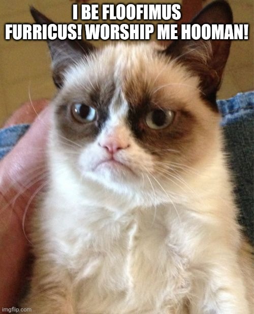 Grumpy Cat | I BE FLOOFIMUS FURRICUS! WORSHIP ME HOOMAN! | image tagged in memes,grumpy cat | made w/ Imgflip meme maker