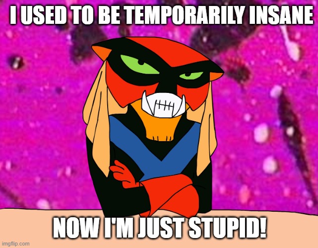 Brak | I USED TO BE TEMPORARILY INSANE; NOW I'M JUST STUPID! | image tagged in brak | made w/ Imgflip meme maker