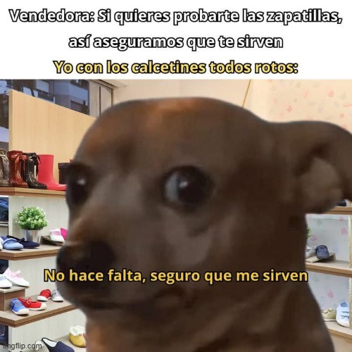 9spijb.jpg