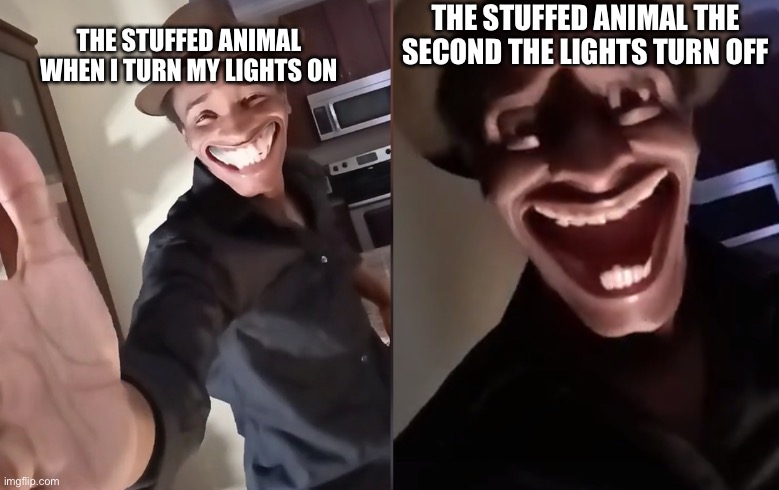 I swear I saw it move | THE STUFFED ANIMAL THE SECOND THE LIGHTS TURN OFF; THE STUFFED ANIMAL WHEN I TURN MY LIGHTS ON | image tagged in are you ready | made w/ Imgflip meme maker
