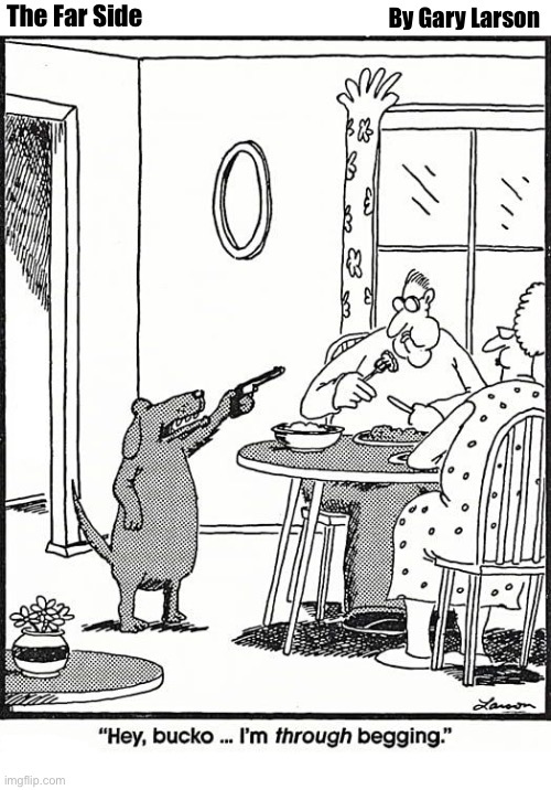 image tagged in comics,the far side,dog with a gun,enough is enough,no more begging | made w/ Imgflip meme maker