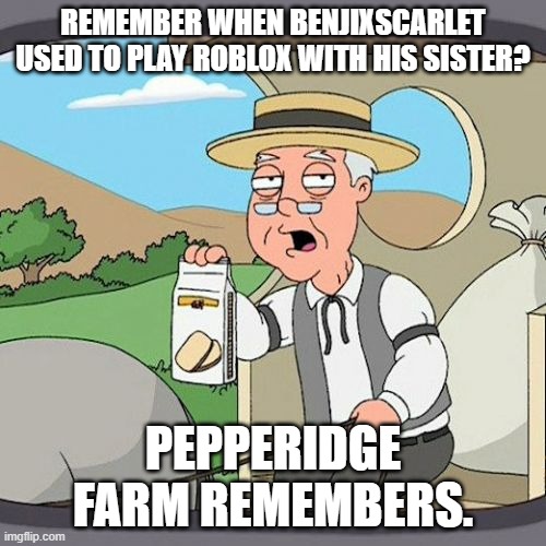 Pepperidge Farm Remembers | REMEMBER WHEN BENJIXSCARLET USED TO PLAY ROBLOX WITH HIS SISTER? PEPPERIDGE FARM REMEMBERS. | image tagged in memes,pepperidge farm remembers | made w/ Imgflip meme maker