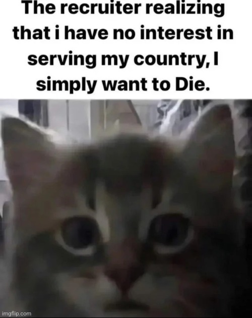 image tagged in memes,msmg,shitpost | made w/ Imgflip meme maker