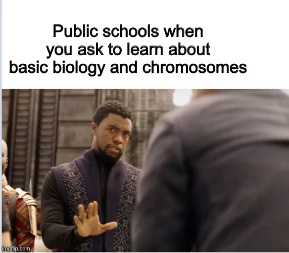 But that’s your job, blockhead! | Public schools when you ask to learn about basic biology and chromosomes | image tagged in we don't do that here,school,indoctrination | made w/ Imgflip meme maker