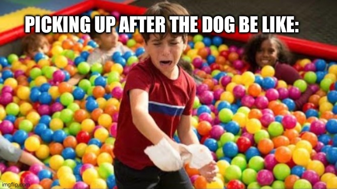 The worst part of having dogs | PICKING UP AFTER THE DOG BE LIKE: | image tagged in diaper hands | made w/ Imgflip meme maker