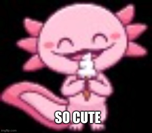 pink | SO CUTE | image tagged in axulotl | made w/ Imgflip meme maker