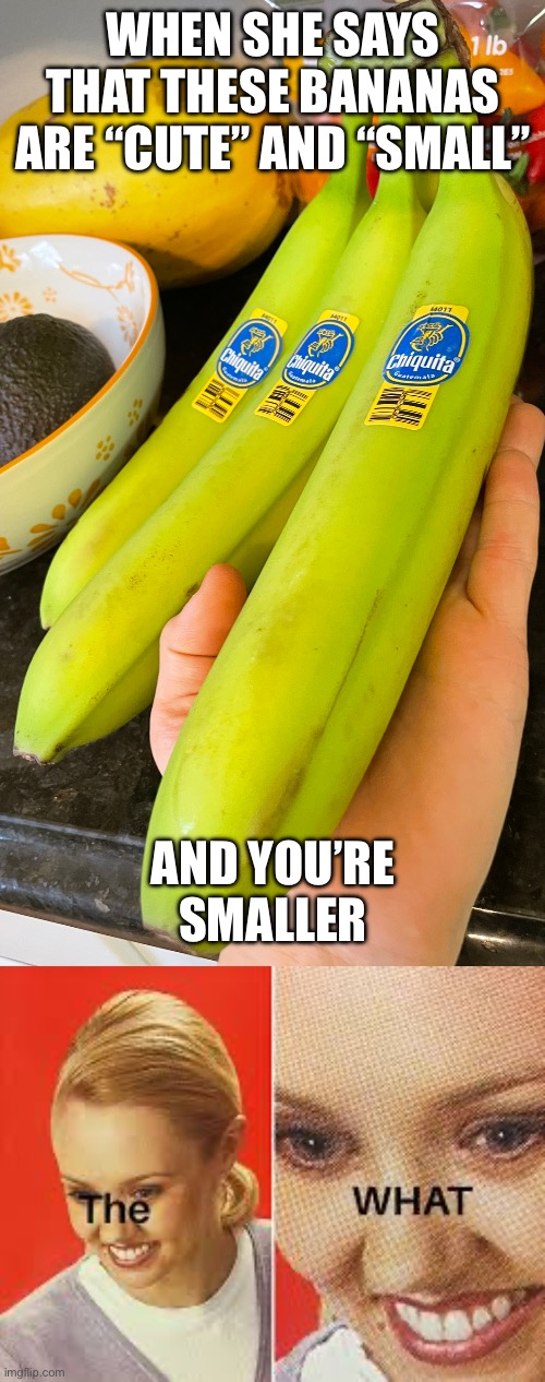 It’s smoll | WHEN SHE SAYS THAT THESE BANANAS ARE “CUTE” AND “SMALL”; AND YOU’RE SMALLER | image tagged in banana,small penis | made w/ Imgflip meme maker