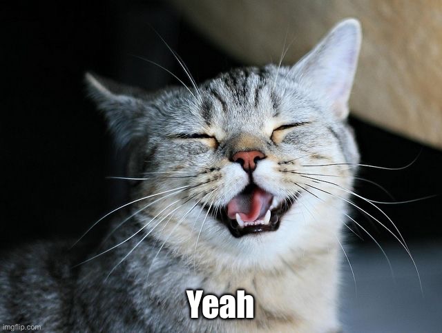 Yeah | made w/ Imgflip meme maker