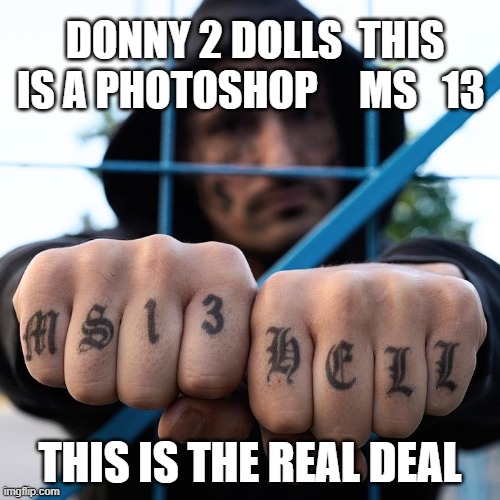 Confused President | DONNY 2 DOLLS  THIS IS A PHOTOSHOP     MS   13; THIS IS THE REAL DEAL | made w/ Imgflip meme maker
