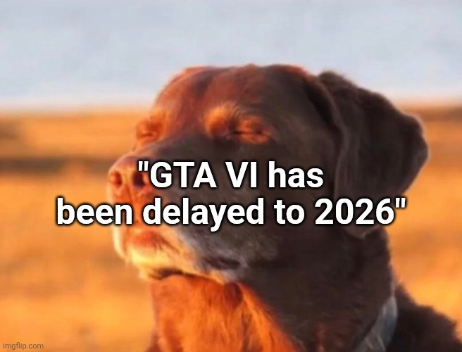 Dog accepting fate | "GTA VI has been delayed to 2026" | image tagged in dog accepting fate | made w/ Imgflip meme maker