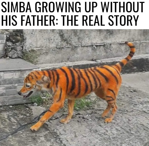 SIMBA GROWING UP WITHOUT HIS FATHER: THE REAL STORY | image tagged in funny,father,the lion king | made w/ Imgflip meme maker