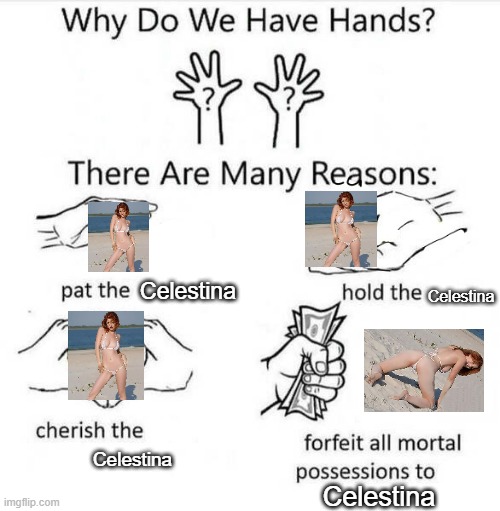 Why Do We Have Hands? | Celestina; Celestina; Celestina; Celestina | image tagged in why do we have hands | made w/ Imgflip meme maker