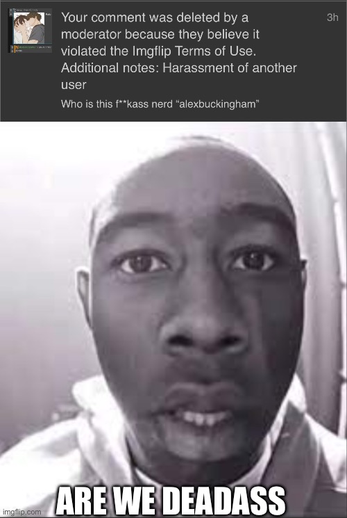 If I get banned for THAT, then half of yall need to go to | ARE WE DEADASS | made w/ Imgflip meme maker