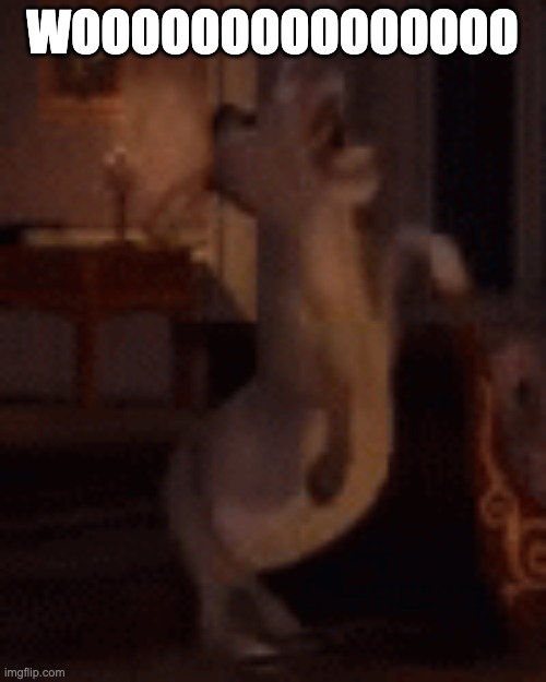 low quality donkey screaming | WOOOOOOOOOOOOOOO | image tagged in low quality donkey screaming | made w/ Imgflip meme maker