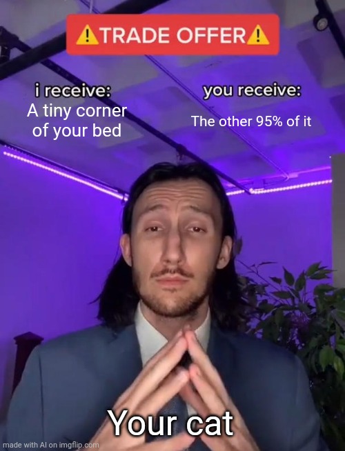Trade Offer | A tiny corner of your bed; The other 95% of it; Your cat | image tagged in trade offer | made w/ Imgflip meme maker