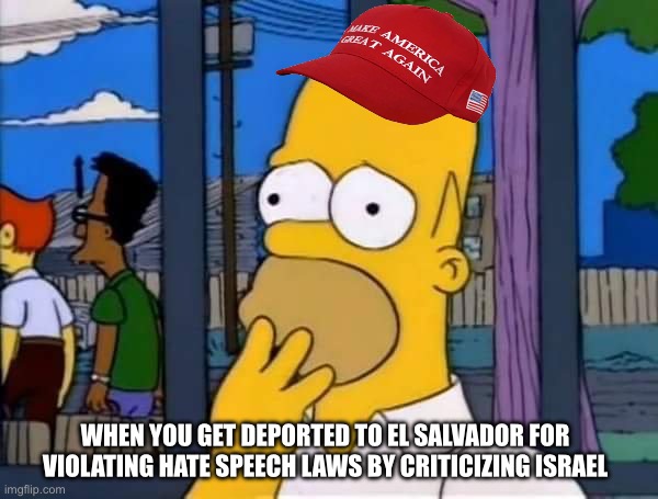 Doh | WHEN YOU GET DEPORTED TO EL SALVADOR FOR VIOLATING HATE SPEECH LAWS BY CRITICIZING ISRAEL | image tagged in homero oh no eso no es | made w/ Imgflip meme maker