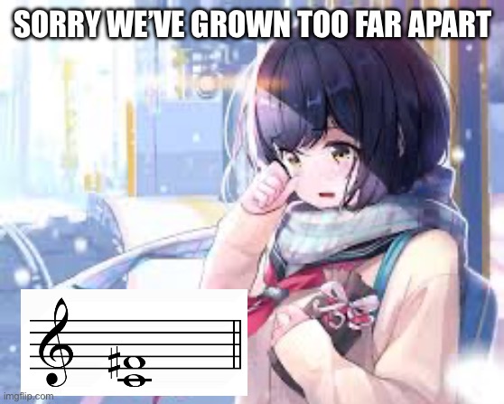 We’ve grown to far apart. Music theory meme. | SORRY WE’VE GROWN TOO FAR APART | image tagged in when u see ur ex 20 sec sec after the break up,jazz,music meme | made w/ Imgflip meme maker