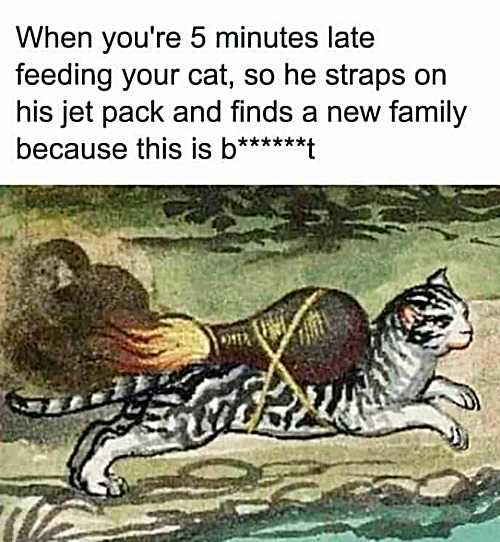 How cats punish | image tagged in memes,cats | made w/ Imgflip meme maker