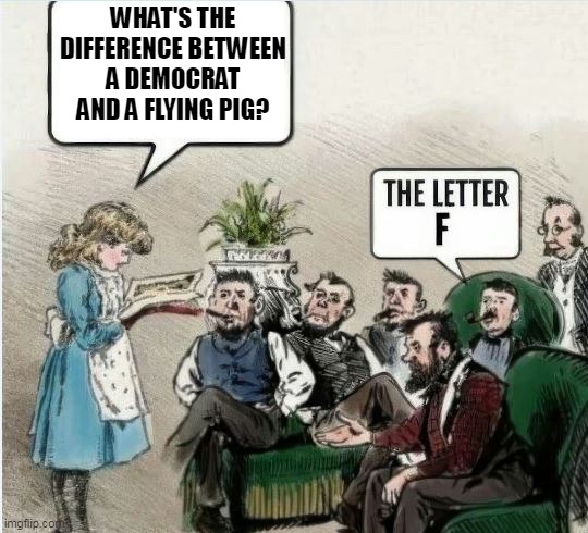 WHAT'S THE DIFFERENCE BETWEEN A DEMOCRAT AND A FLYING PIG? | made w/ Imgflip meme maker