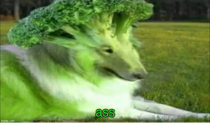 Broco dogo | ass | image tagged in broco dogo | made w/ Imgflip meme maker
