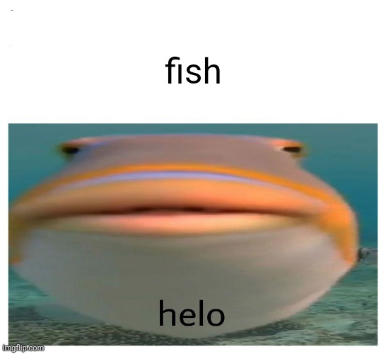 fish | fish | image tagged in fish | made w/ Imgflip meme maker