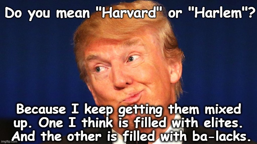 Dumb trump | Do you mean "Harvard" or "Harlem"? Because I keep getting them mixed up. One I think is filled with elites.  And the other is filled with ba | image tagged in dumb trump | made w/ Imgflip meme maker