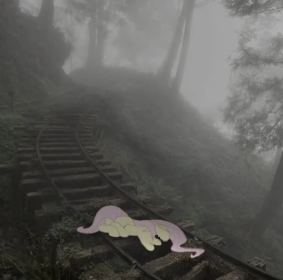 Sad Fluttershy ^^ Blank Meme Template