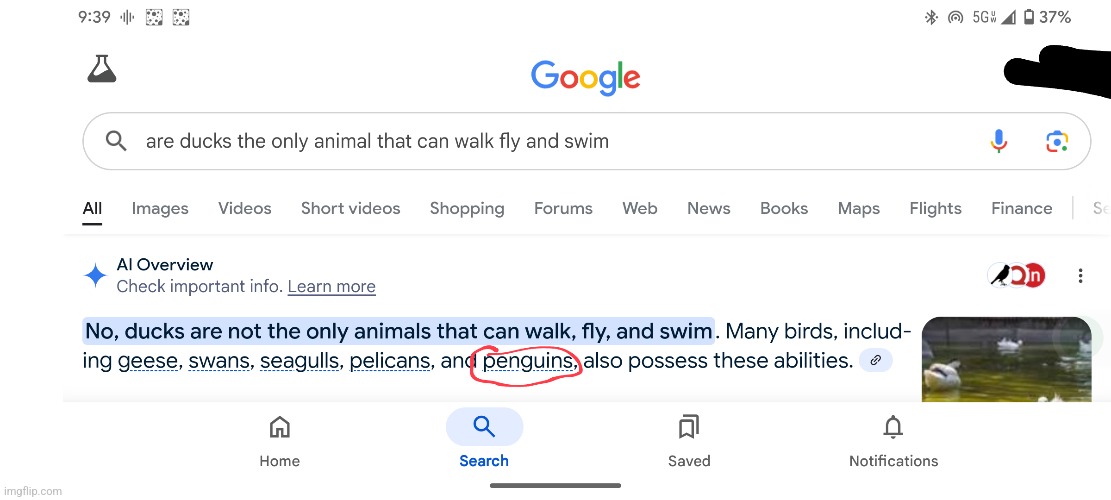 Google's AI overview is wrong again | image tagged in google,ai,gemini,something s wrong | made w/ Imgflip meme maker