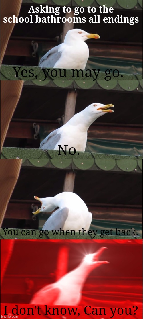 Asking to go to the school bathrooms all endings | Asking to go to the school bathrooms all endings; Yes, you may go. No. You can go when they get back. I don't know, Can you? | image tagged in memes,inhaling seagull | made w/ Imgflip meme maker