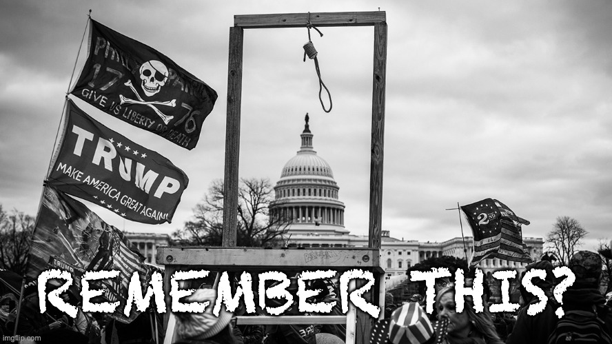 Noose at the Capitol | REMEMBER THIS? | image tagged in noose at the capitol | made w/ Imgflip meme maker