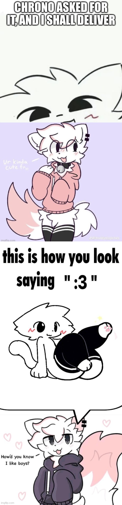 CHRONO ASKED FOR IT, AND I SHALL DELIVER | image tagged in boykisser 3,boykisser glow up,this is how you look saying 3,boykisser speech bubble | made w/ Imgflip meme maker