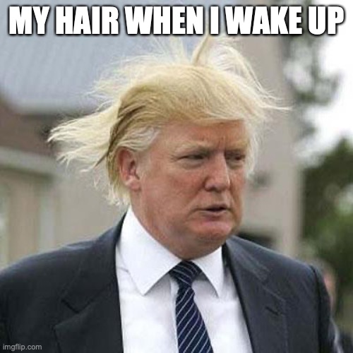 Donald Trump | MY HAIR WHEN I WAKE UP | image tagged in donald trump | made w/ Imgflip meme maker