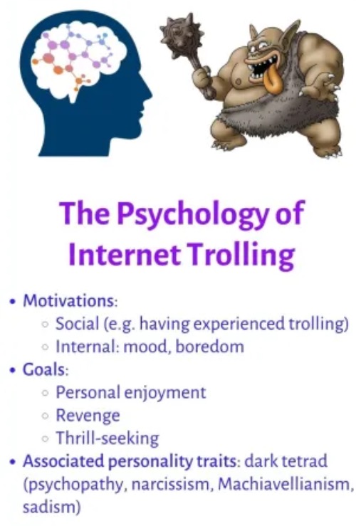 Internet Trolls | image tagged in trolls,trolling,narcissism,psychopath,psychology,internet | made w/ Imgflip meme maker