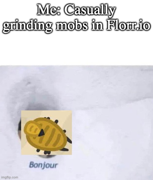 Ugh... scorpions | Me: Casually grinding mobs in Florr.io | image tagged in bonjour | made w/ Imgflip meme maker