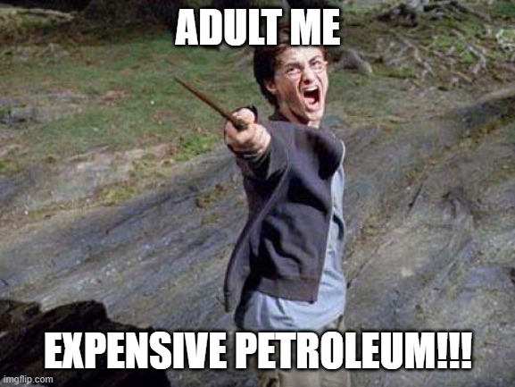 Expensive Petrolium!!!!! | ADULT ME; EXPENSIVE PETROLEUM!!! | image tagged in harry potter yelling | made w/ Imgflip meme maker
