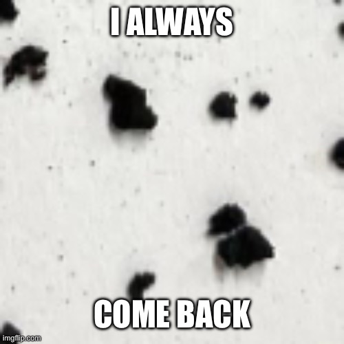 I ALWAYS COME BACK | made w/ Imgflip meme maker