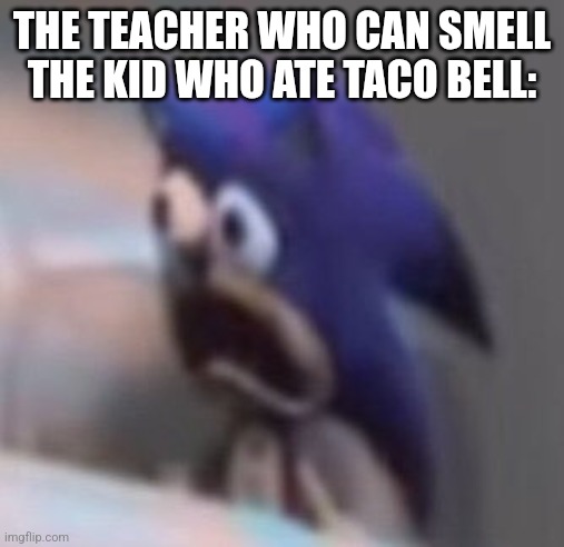 Traumatised Sonic | THE TEACHER WHO CAN SMELL THE KID WHO ATE TACO BELL: | image tagged in traumatised sonic | made w/ Imgflip meme maker