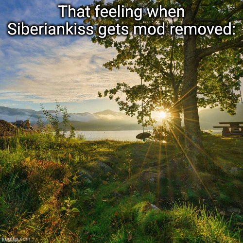 it's about time | That feeling when Siberiankiss gets mod removed: | image tagged in a new sunny day of gratitude,siberiankiss,sunny day,ahhh,finally inner peace,yayaya | made w/ Imgflip meme maker
