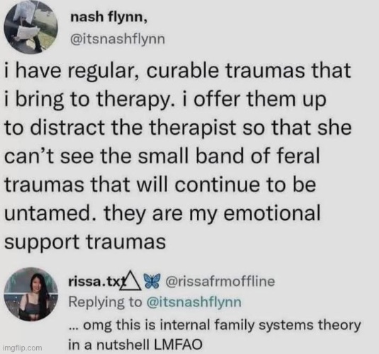 Trauma | image tagged in trauma,therapy | made w/ Imgflip meme maker
