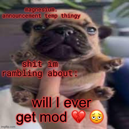 pug temp | will I ever get mod 💔 🫩 | image tagged in pug temp | made w/ Imgflip meme maker