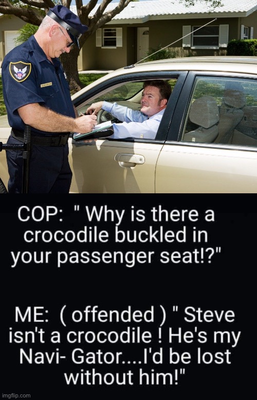 Crocodile | image tagged in cop,alligator,crocodile,navigator,bad pun | made w/ Imgflip meme maker