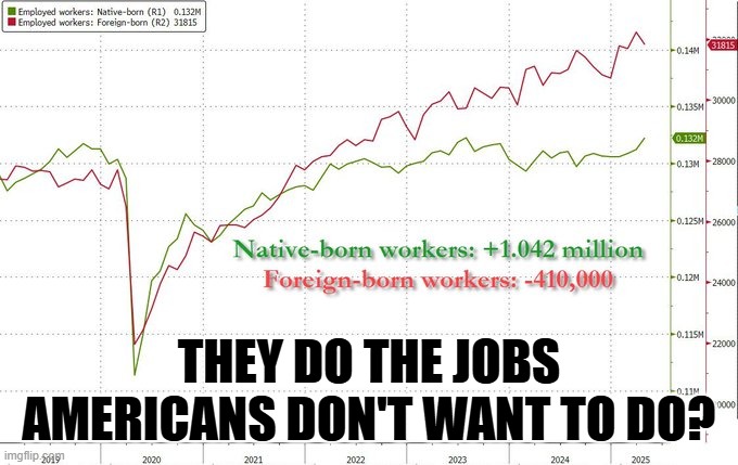 The Big Lie | THEY DO THE JOBS AMERICANS DON'T WANT TO DO? | image tagged in jobs,immigrants,media,lies | made w/ Imgflip meme maker