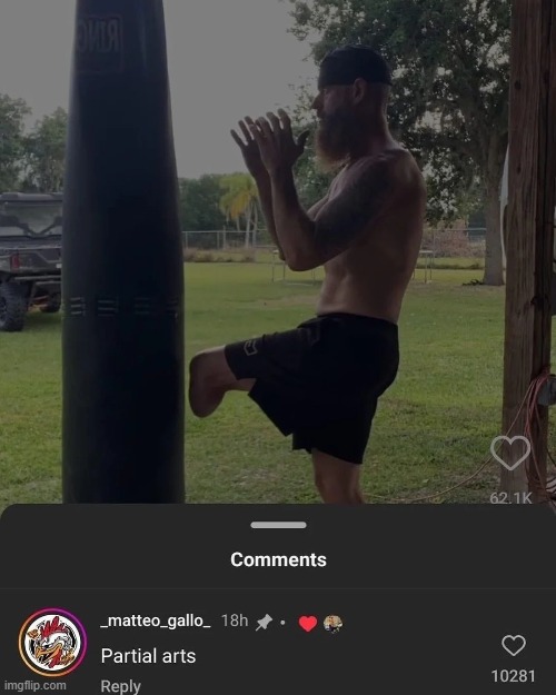 image tagged in martial arts,partial,leg,amputee | made w/ Imgflip meme maker