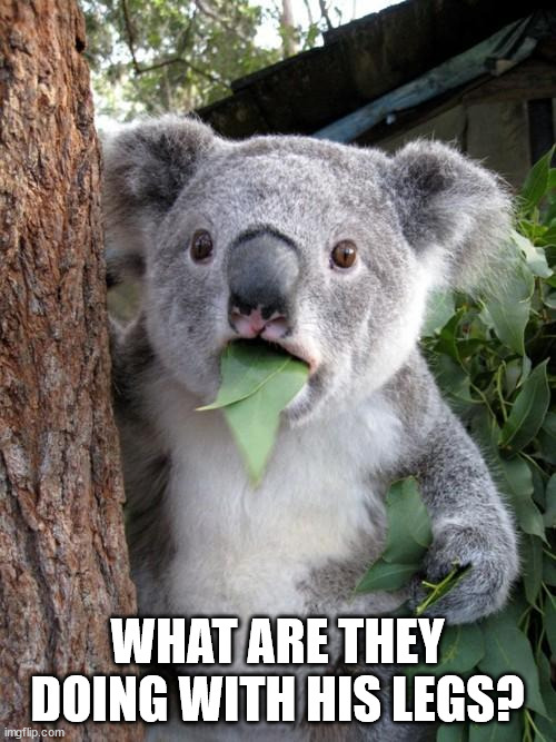 Surprised Koala Meme | WHAT ARE THEY DOING WITH HIS LEGS? | image tagged in memes,surprised koala | made w/ Imgflip meme maker
