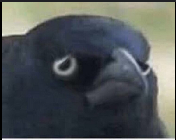 Crow of sadness Blank Meme Template