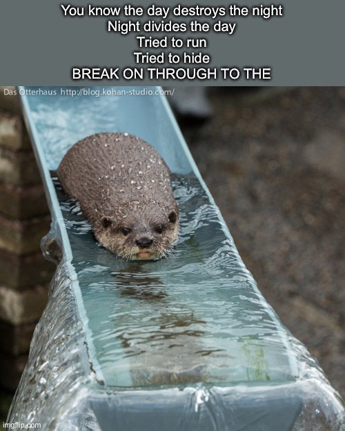 Otter Slide | You know the day destroys the night
Night divides the day
Tried to run
Tried to hide
BREAK ON THROUGH TO THE | image tagged in otter slide,the doors,other side | made w/ Imgflip meme maker