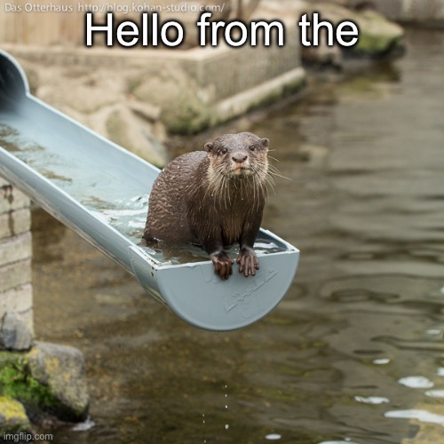 Otter slide pt 2 | Hello from the | image tagged in otter slide adele,adele,other side,hello | made w/ Imgflip meme maker