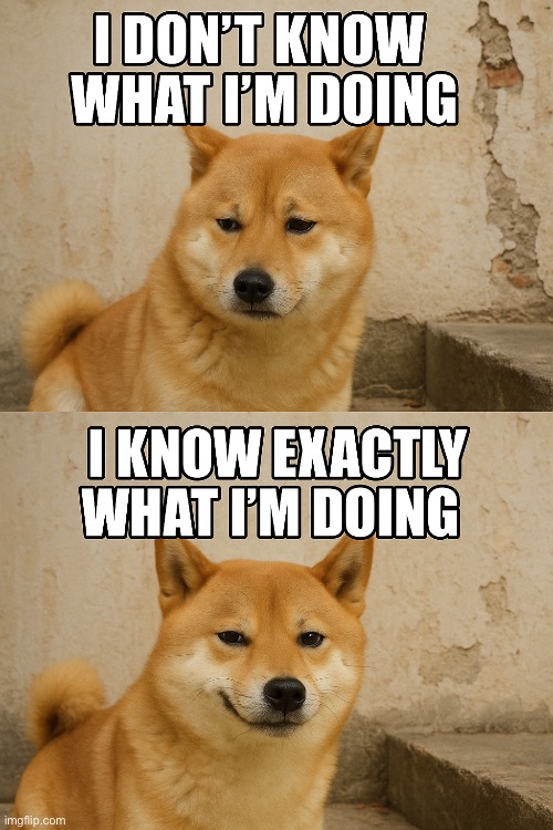 Doge | image tagged in idk,doge | made w/ Imgflip meme maker